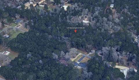 Photo of 126 Mockingbird Hills, Livingston, TX 77351 (MLS # 10298598)