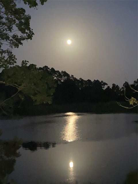 Photo of 240 Driftwood Drive, Goodrich, TX 77335 (MLS # 39935800)