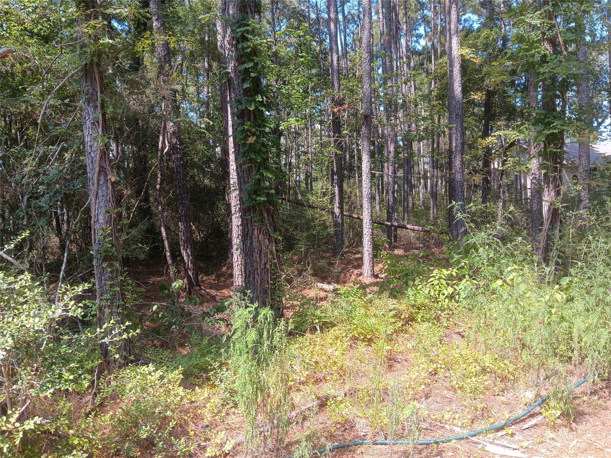 LOT 17 & 18 Honeylocust Lane