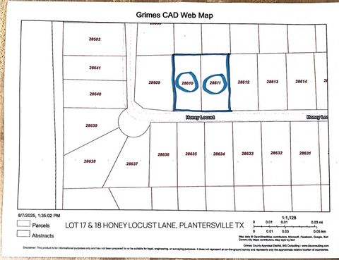 Photo of 17 Honeylocust Lane, Plantersville, TX 77363 (MLS # 69278564)