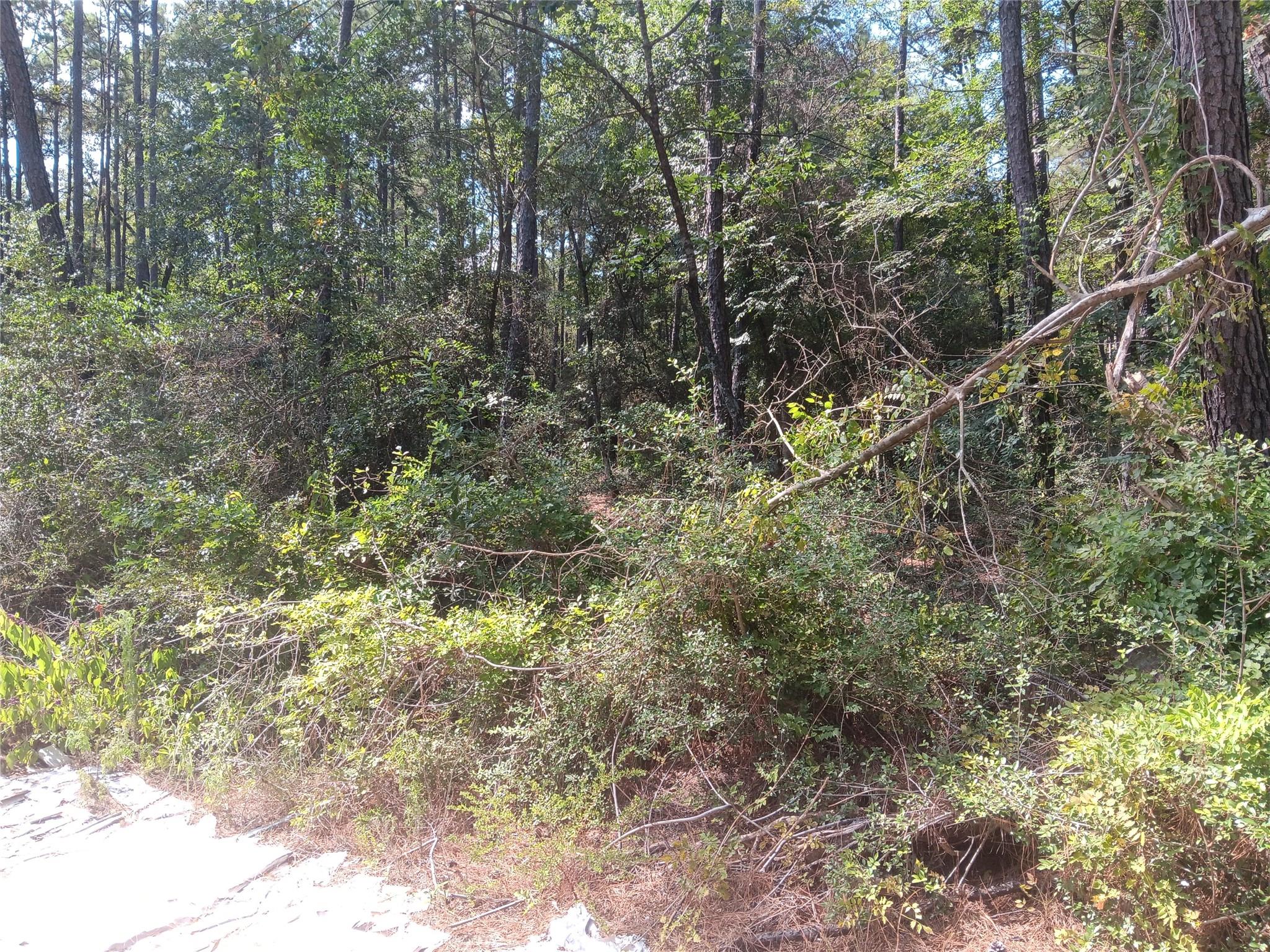 LOT 17 & 18 Honeylocust Lane
