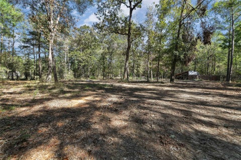 Photo of 695 Piney Trail, Livingston, TX 77351 (MLS # 21910604)