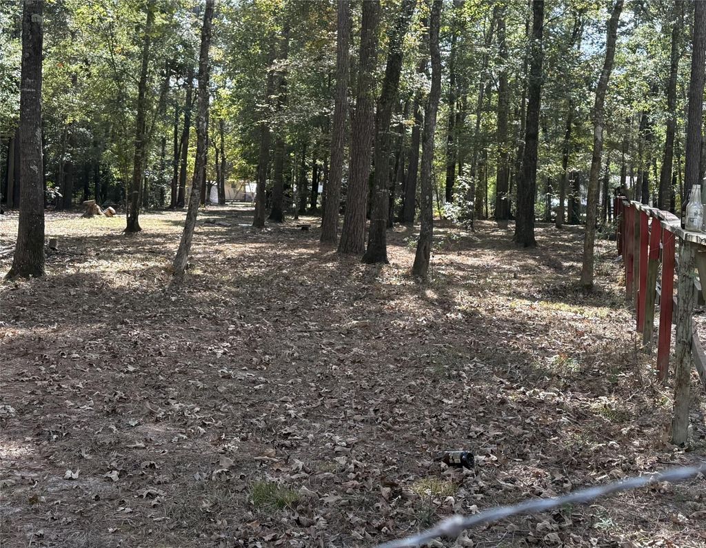 Photo of 19228 Kettering Circle, New Caney, TX 77357 (MLS # 44139730)