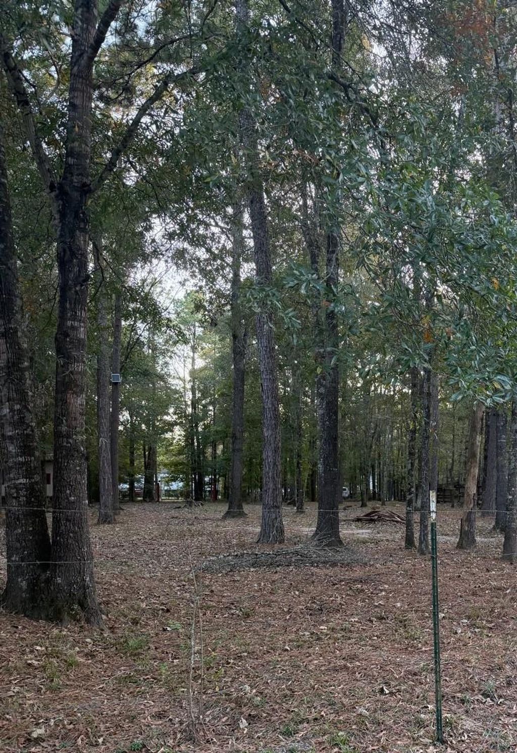 Photo of 19228 Kettering Circle, New Caney, TX 77357 (MLS # 44139730)