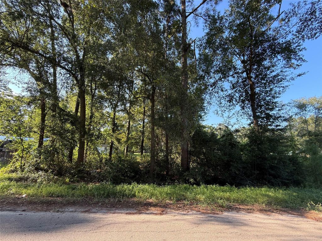 Photo of 0 Spanish Oaks Dr, New Caney, TX 77357 (MLS # 47699024)