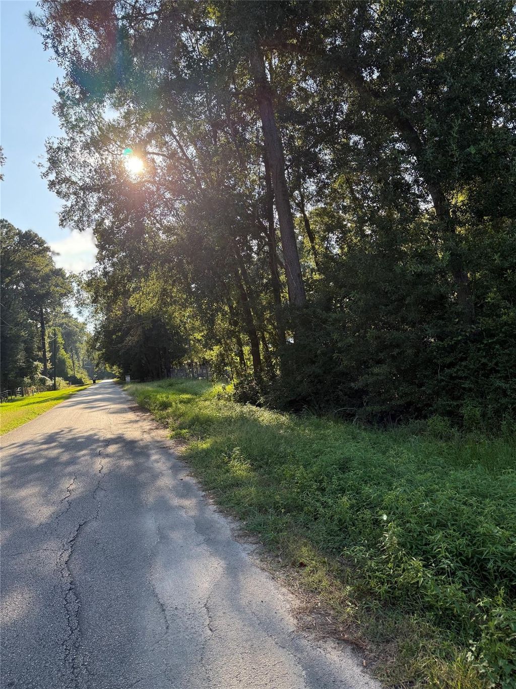 Photo of 0 Spanish Oaks Dr, New Caney, TX 77357 (MLS # 47699024)