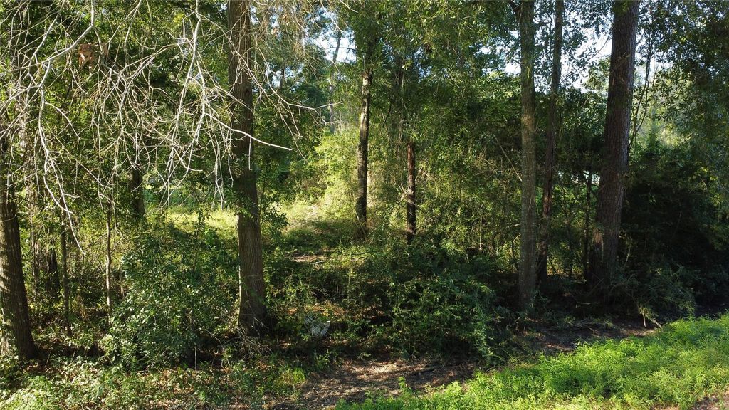 Photo of 0 Spanish Oaks Dr, New Caney, TX 77357 (MLS # 47699024)