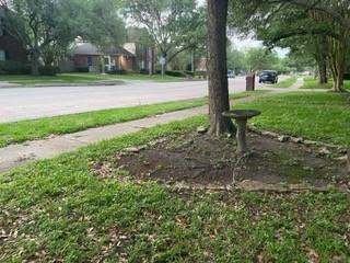 115 Eagle Lakes Drive