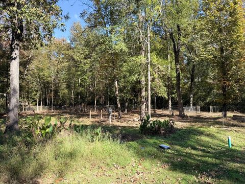 250 Beaver Run Livingston TX 77351