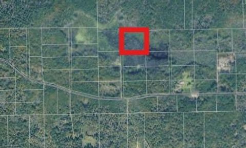 Photo of 18 Lake Ck Ranchettes 02 DR, Magnolia, TX 77354 (MLS # 88694861)
