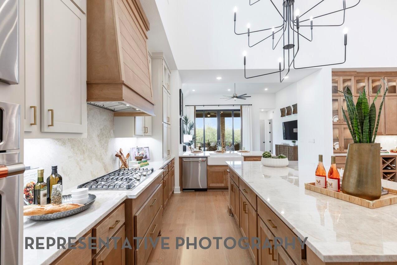 31031 Vintage Creek Lane