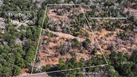 Vacant Land For Sale - TBD #15 County Road 475a<br/> Rusk County, Henderson, TX 75654
