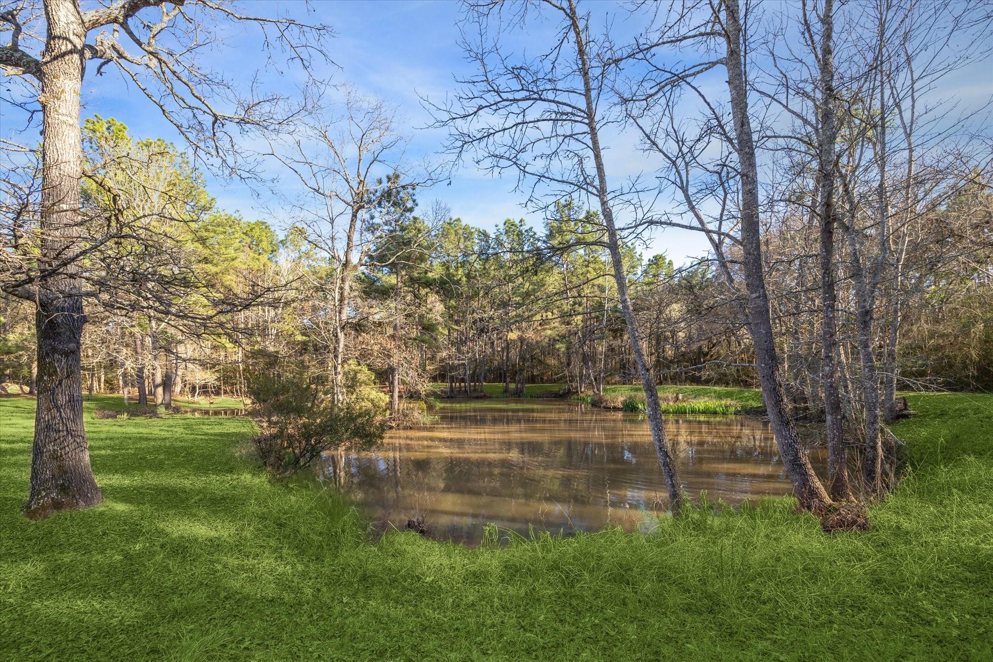 322 Whispering Meadow