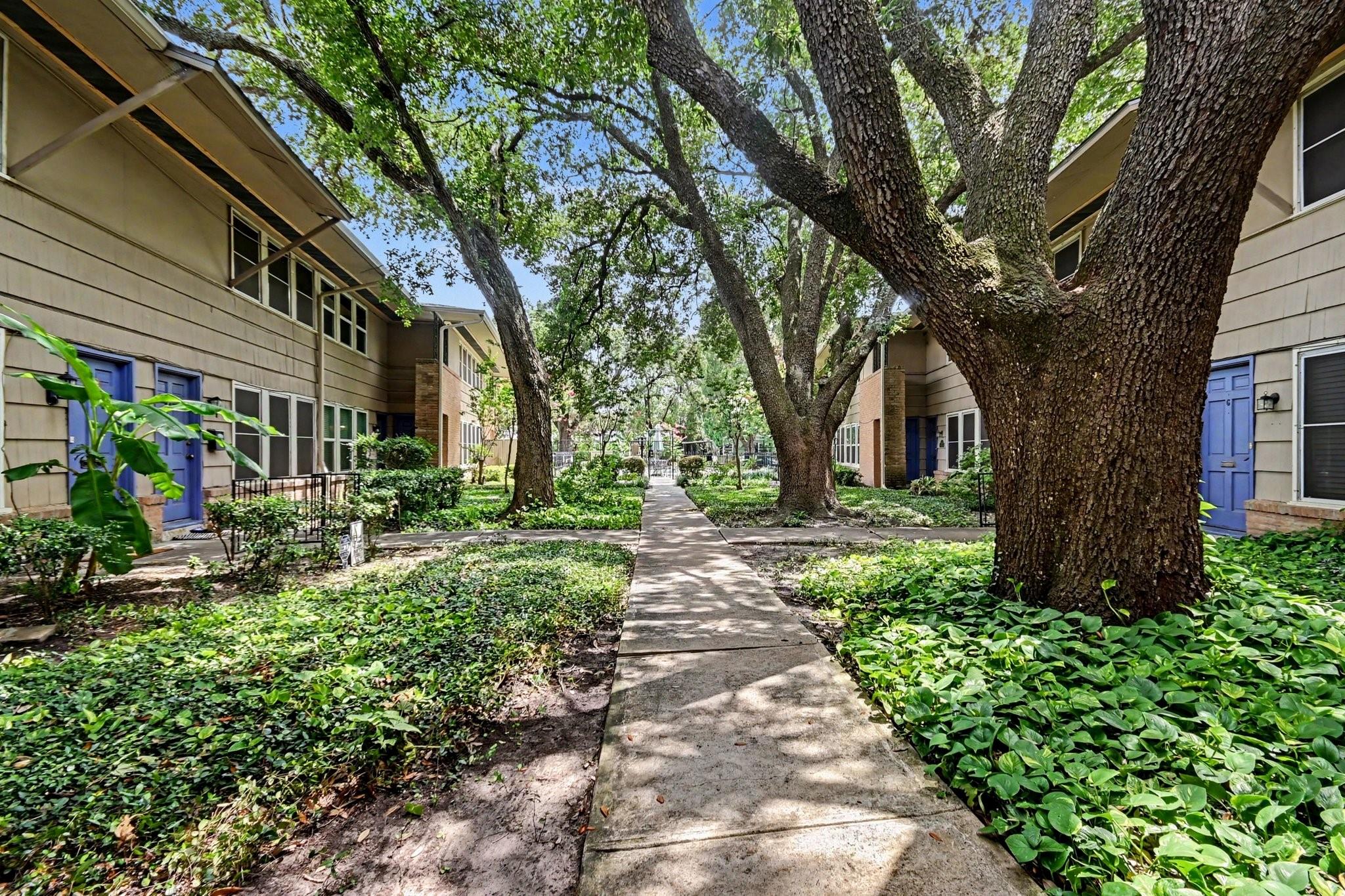 4020 Blue Bonnet Boulevard K