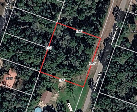 Lot 35 Shannon Street Hempstead TX 77445