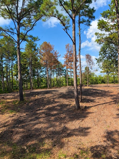Photo of 348 Private Road 77004 Road, Liberty, TX 77575 (MLS # 85691914)