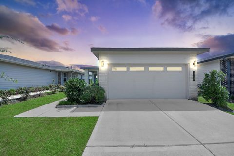Photo of 12527 Colchester Creek Court, Houston, TX 77047 (MLS # 45672862)