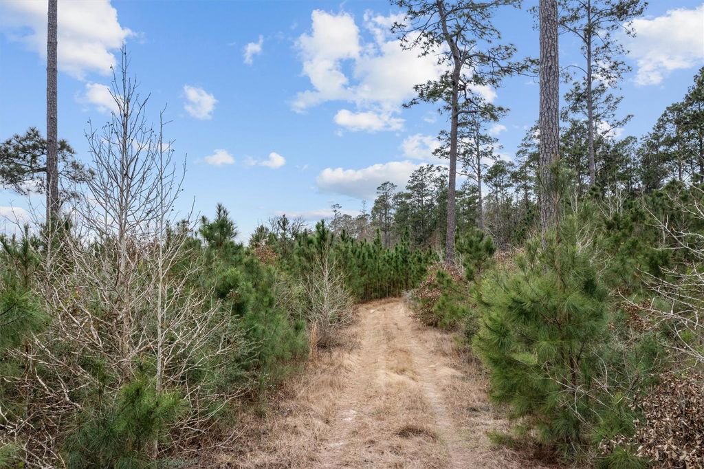 Photo of 9422 Farm To Market 62, Corrigan, TX 75939 (MLS # 56506368)