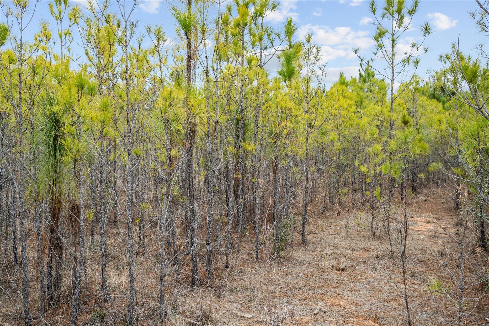 9422 Farm To Market 62