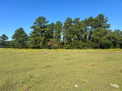 Photo of 0 Hardy Bottom Road, Huntsville, TX 77340 (MLS # 4017055)
