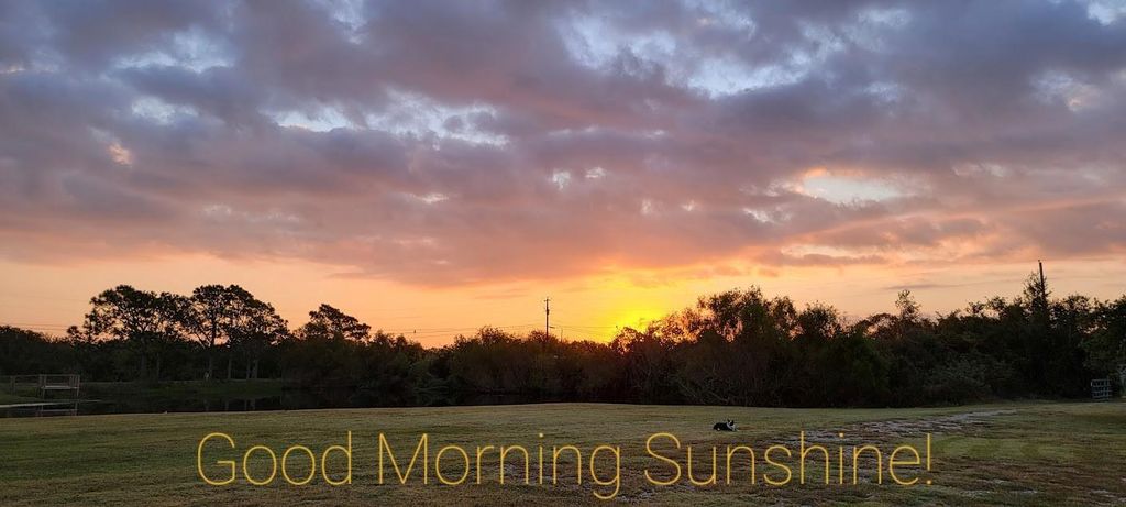 Photo of 3162 W Monroe Ave, Port O Connor, TX 77982 (MLS # 63243963)