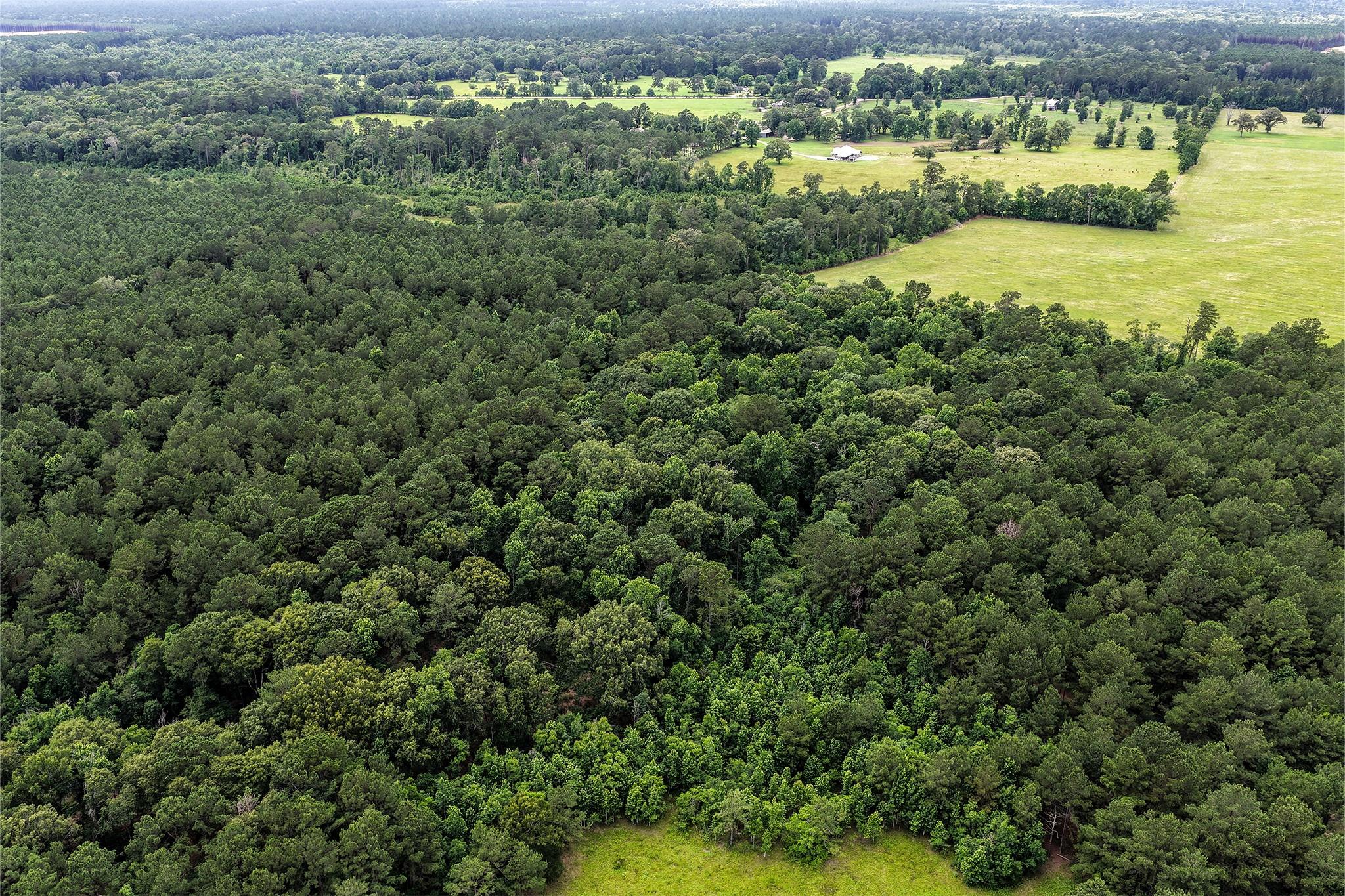 1782 Acres County Line Road