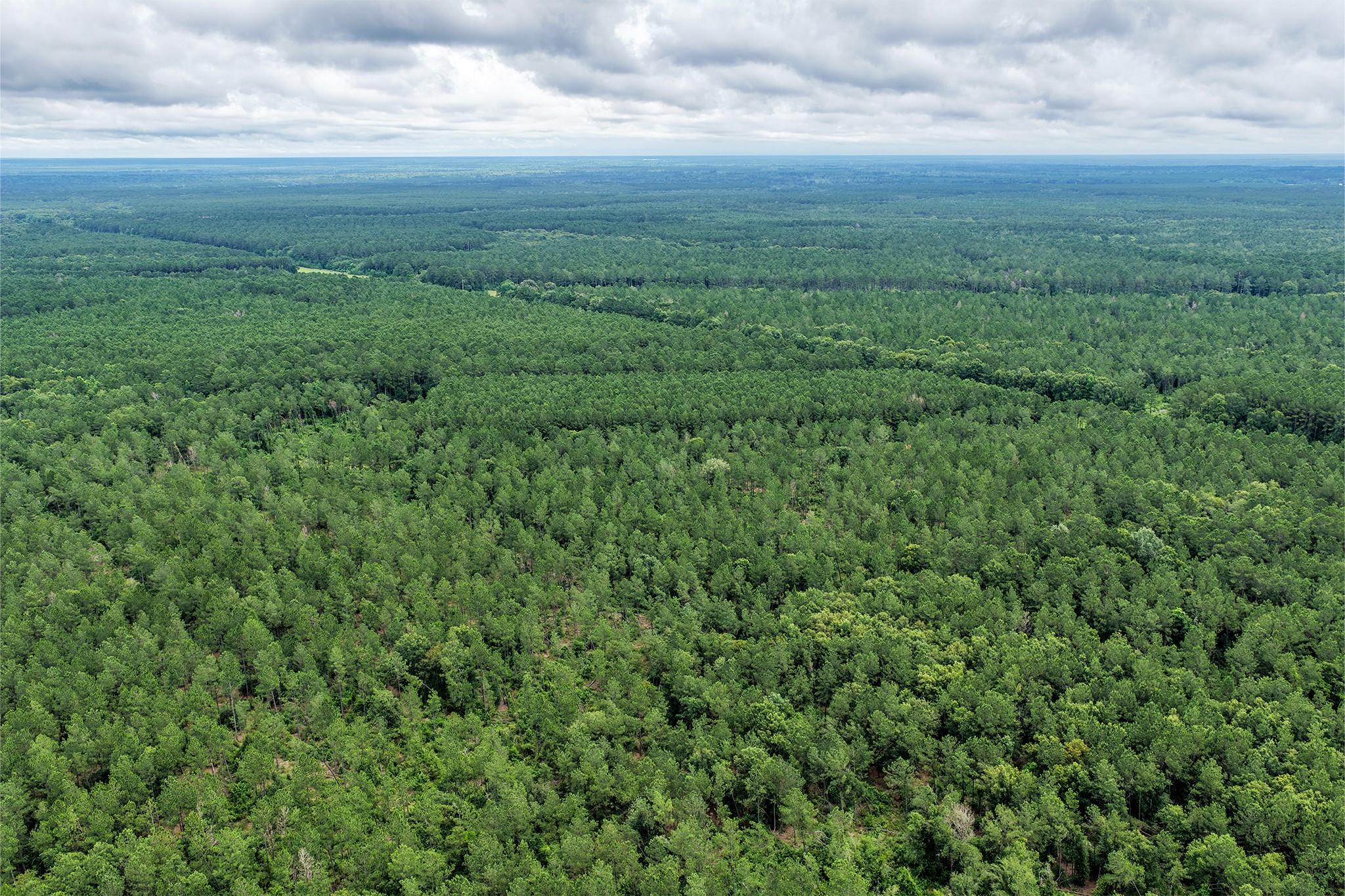 1782 Acres County Line Road