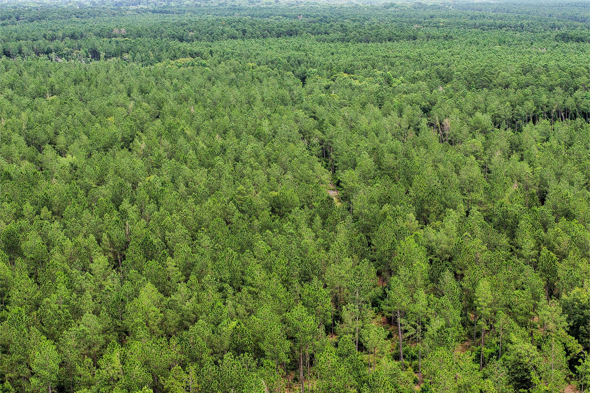 1782 Acres County Line Road