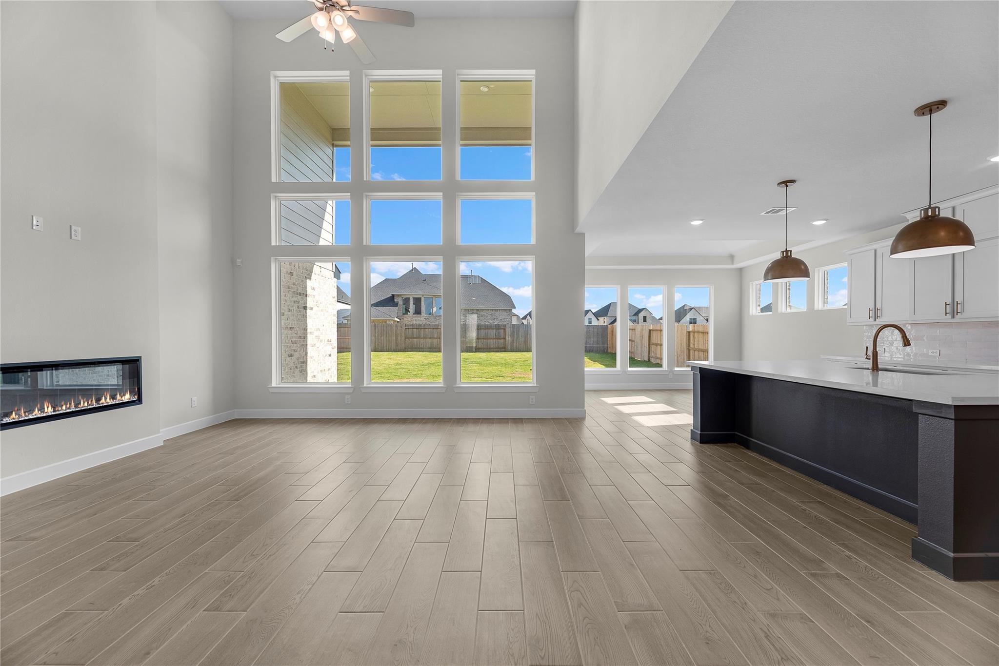 16234 Blue Mistflower Lane