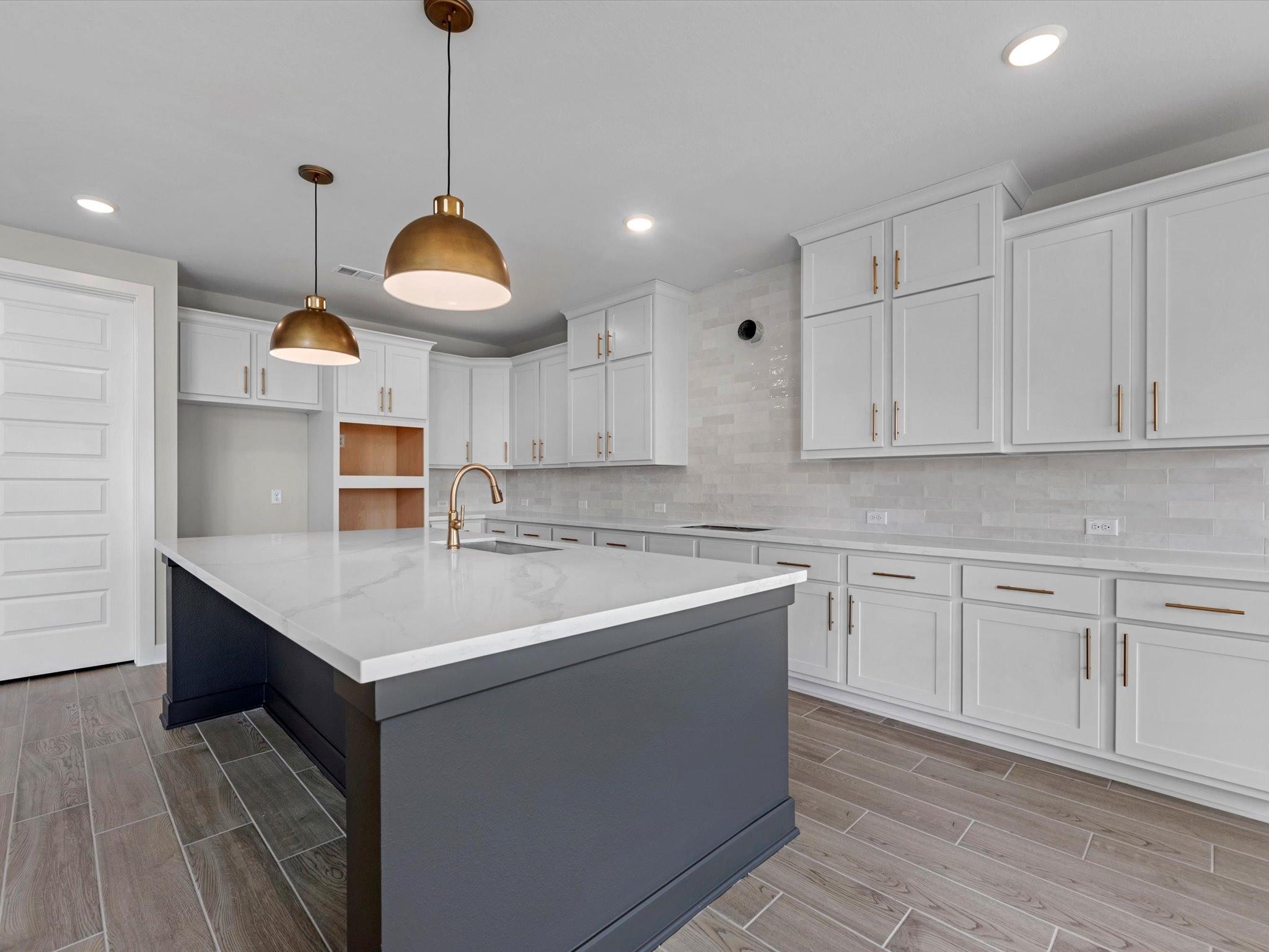 16234 Blue Mistflower Lane