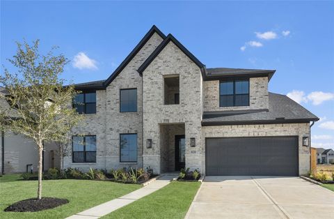 16234 Blue Mistflower Lane Hockley TX 77447