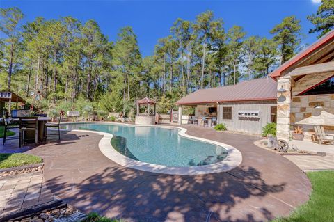 22 Mount Zion Road New Waverly TX 77358