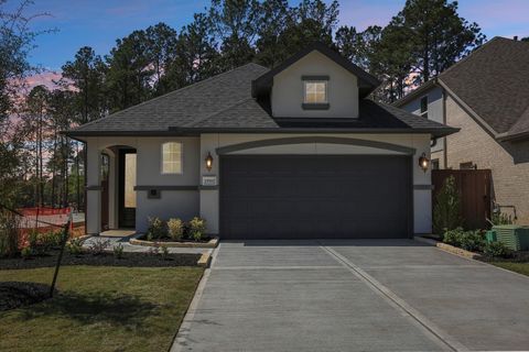 Photo of 29945 Stony Forest Drive, Magnolia, TX 77354 (MLS # 58481772)