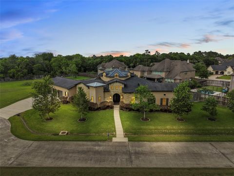 Photo of 2080 Wilderness Trail, Friendswood, TX 77546 (MLS # 89755701)