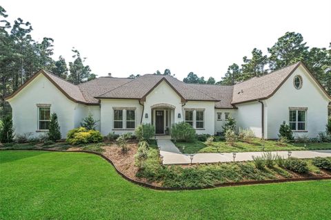 Photo of 15923 Wood Grove Way, Willis, TX 77378 (MLS # 69599244)