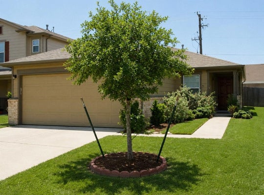 8515 WESTKNOLL LN, HOUSTON, TX 77072 - Image 79f4e659cdbc8d671626d0bf43400415/4054081520