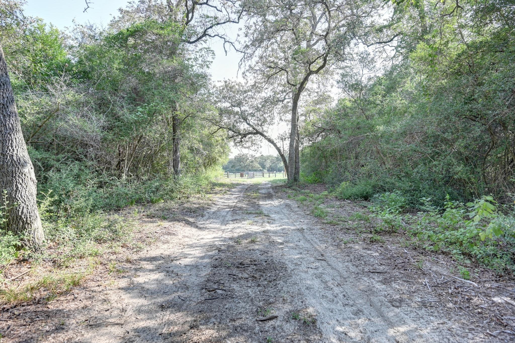 2839 County Road 316