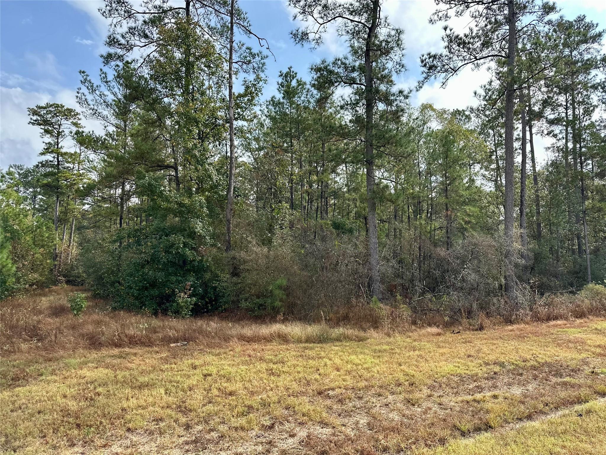 15886 Wood Grove Way