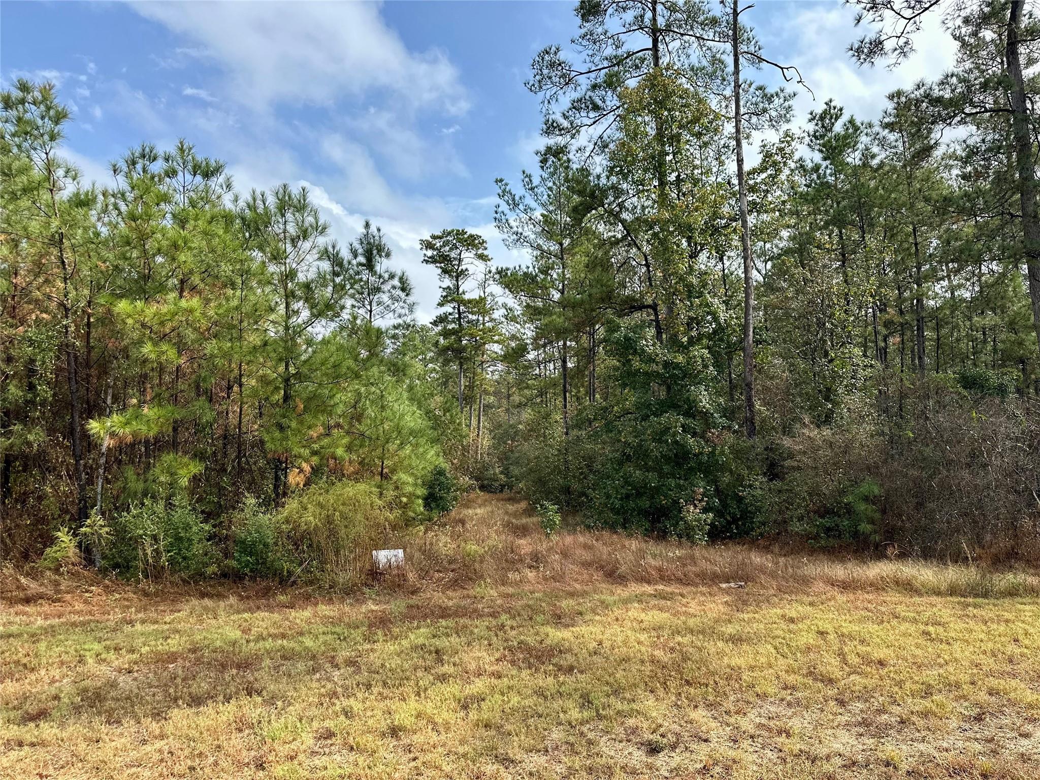 15886 Wood Grove Way