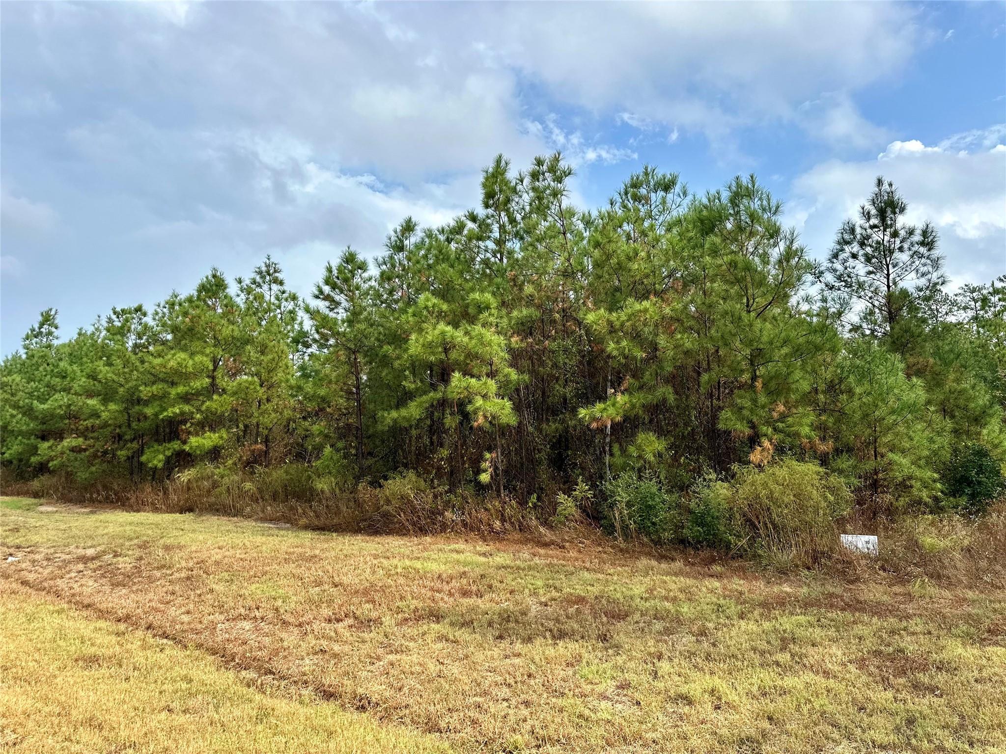 15886 Wood Grove Way