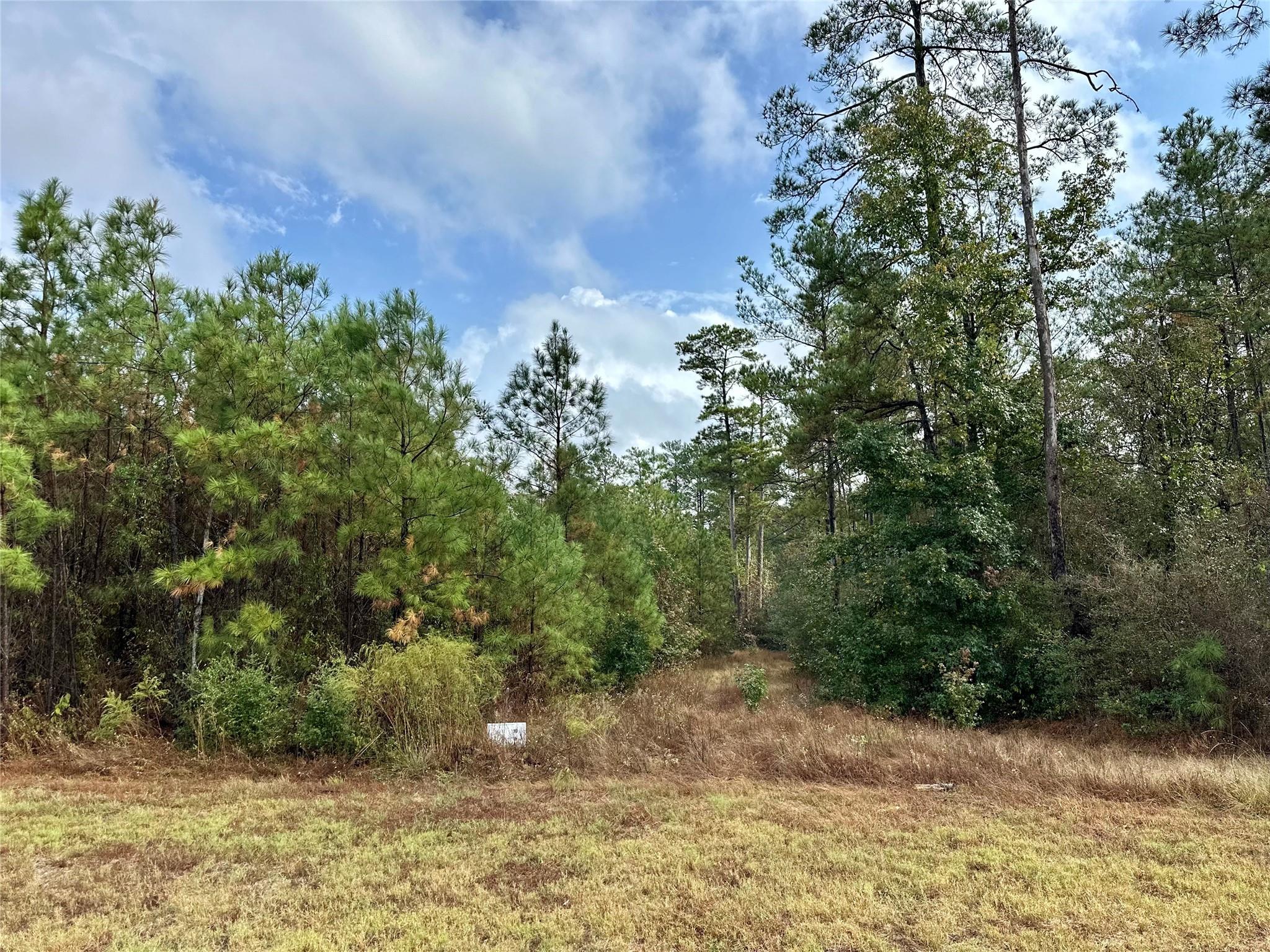 15886 Wood Grove Way