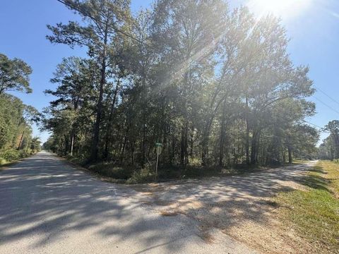 Vacant Land For Sale - Dennis Peyton Road<br/> Shepherd, TX 77371