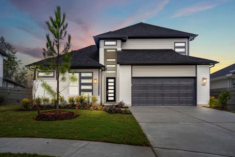 Photo of 17307 Sunflower Petals Trail, Conroe, TX 77302 (MLS # 56709164)
