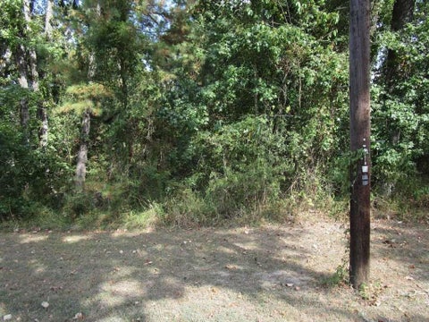 Photo of 183 Lakeland Road, Huntsville, TX 77320 (MLS # 32235089)