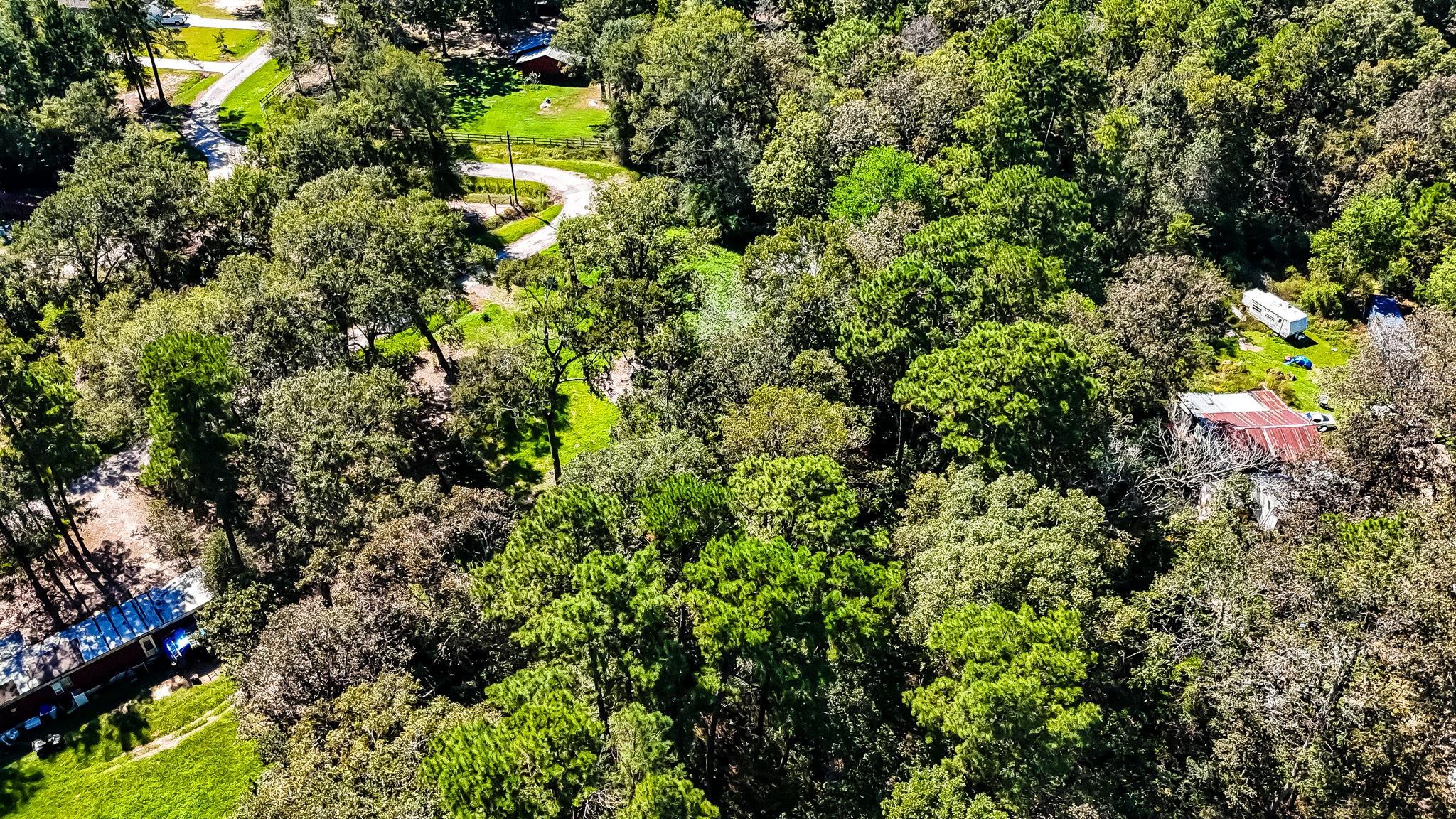 241 County Road 2221