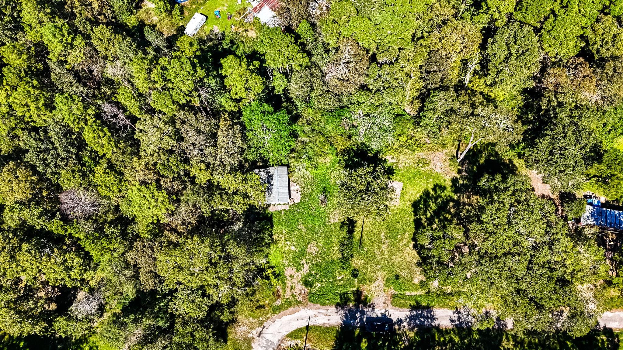 241 County Road 2221