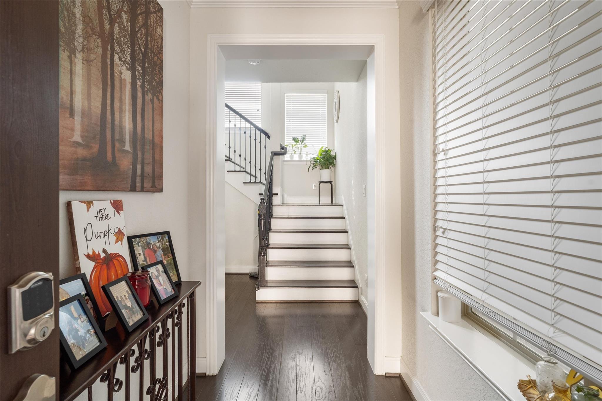 8917 Wind Springs Drive