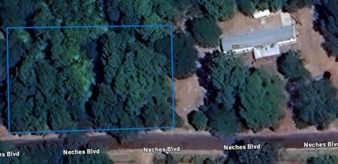 Photo of 271 Neches Boulevard, Lufkin, TX 75901 (MLS # 66714674)