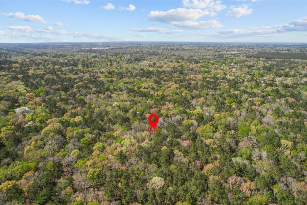 Photo of TBD Green Leaf, New Caney, TX 77357 (MLS # 45374798)
