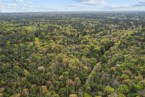 Photo of TBD Green Leaf, New Caney, TX 77357 (MLS # 45374798)